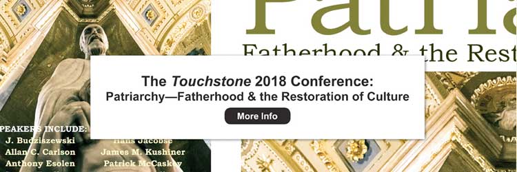Conference Audio